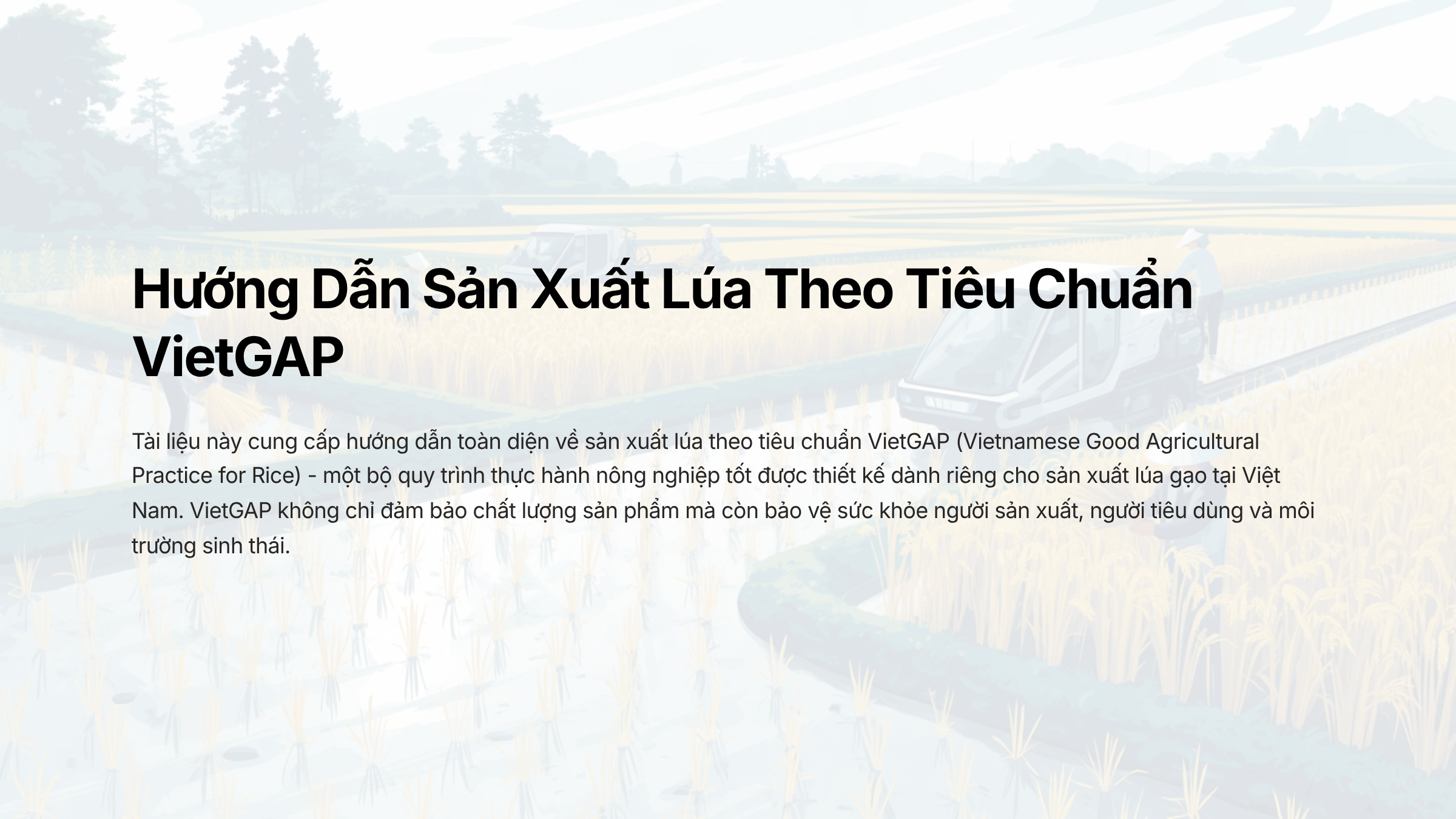 Bài 1 – TỔNG QUAN VỀ CÂY LÚA