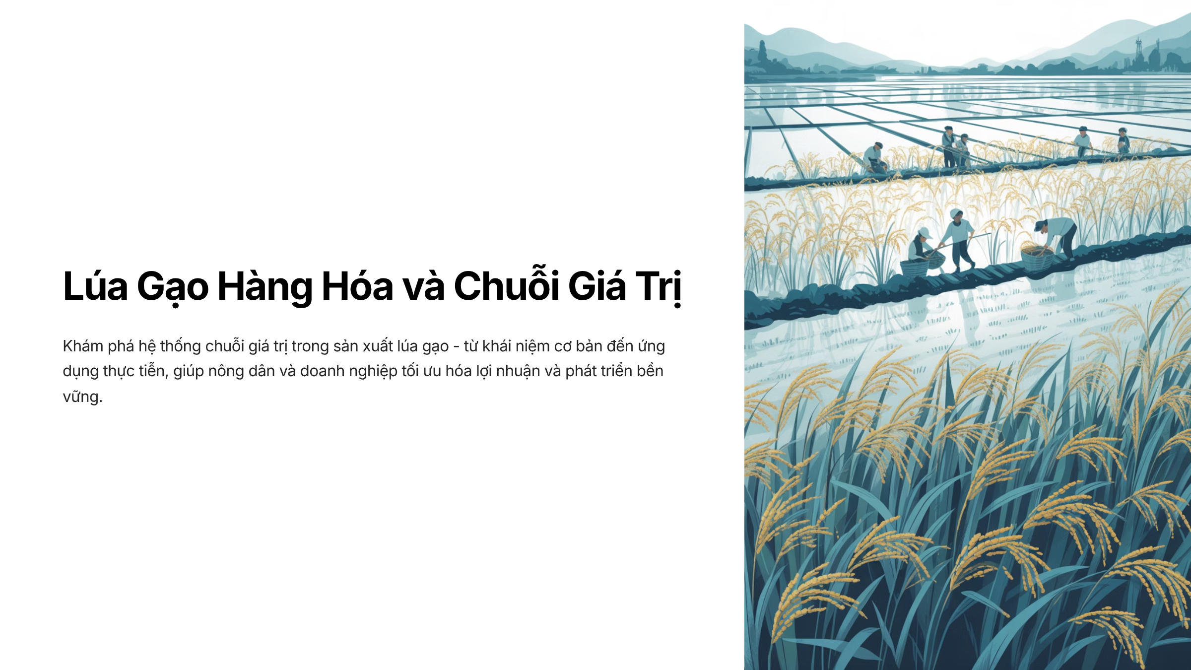 Bài 4 Lúa Gạo Hàng Hóa và Chuỗi Giá Trị