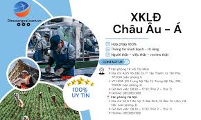 Hướng dẫn thủ tục xuất khẩu lao động từ các tỉnh Tây Bắc: Quy trình đầy đủ từ A–Z cho người mới bắt đầu