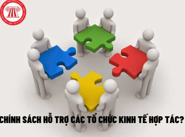 Đề xuất chính sách hỗ trợ đối với các tổ chức kinh tế hợp tác? Điều kiện, nội dung chính sách hỗ trợ là gì?